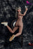 products/150cm-lora-sexy-singer-realistic-sex-doll-cute-love-full-size_6_492.jpg