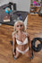 products/150cm-victoria-gymnast-style-realistic-sex-doll-real-love-full-size_60_585.jpg