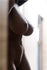 products/RAY_2800.jpg